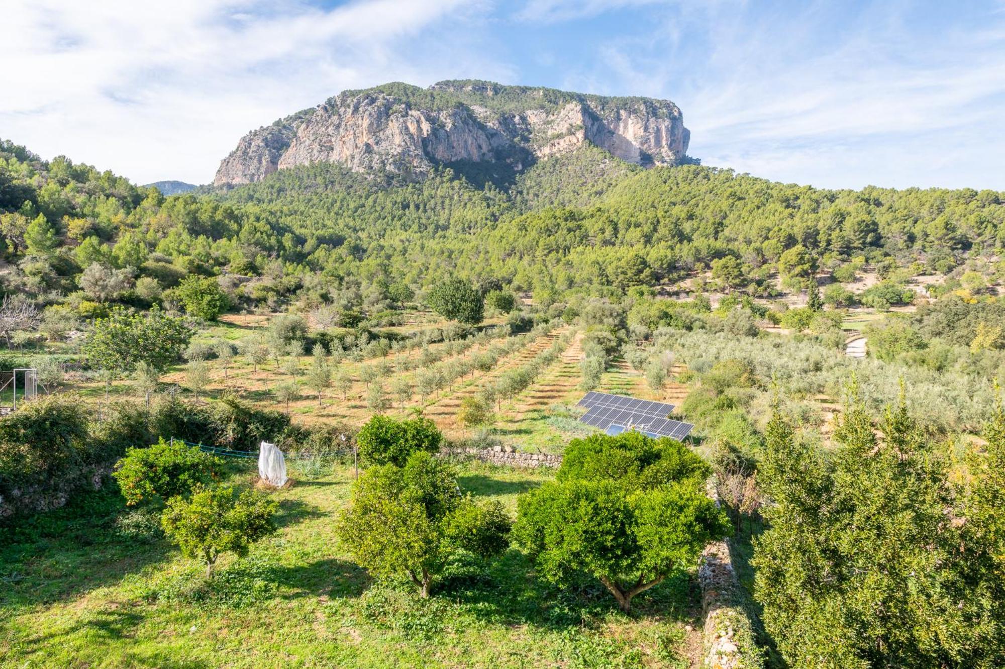 Agroturismo Filicumis By Mhr Lloseta Zewnętrze zdjęcie